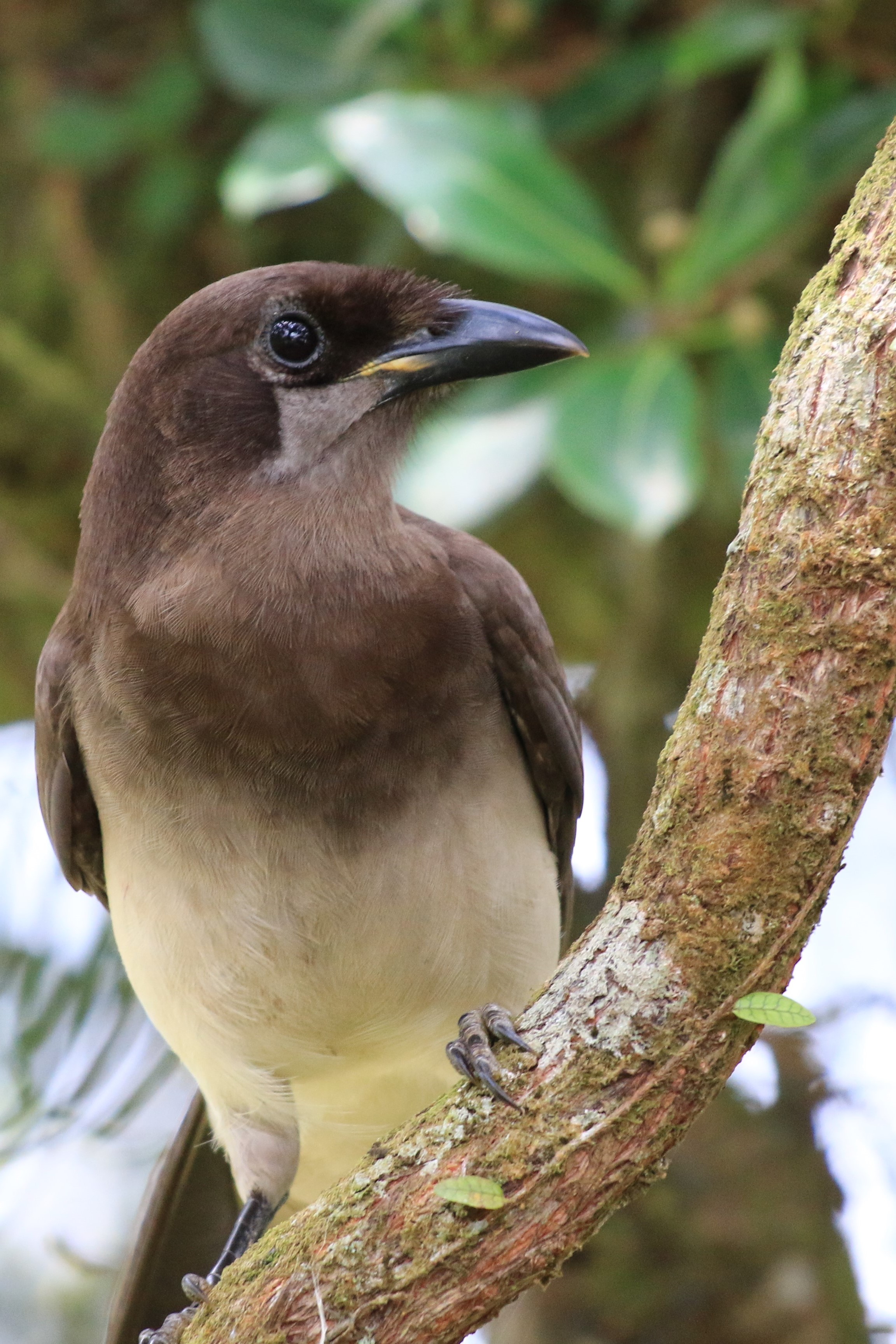 Costa Rica